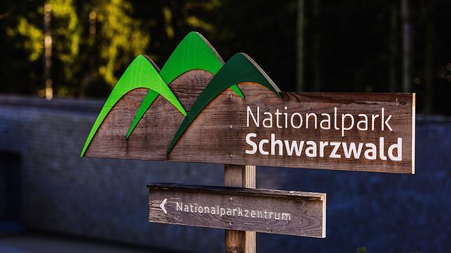 Der Nationalpark Schwarzwald soll künftig aus einem zusammenhängenden Gebiet bestehen. (Archivbild)