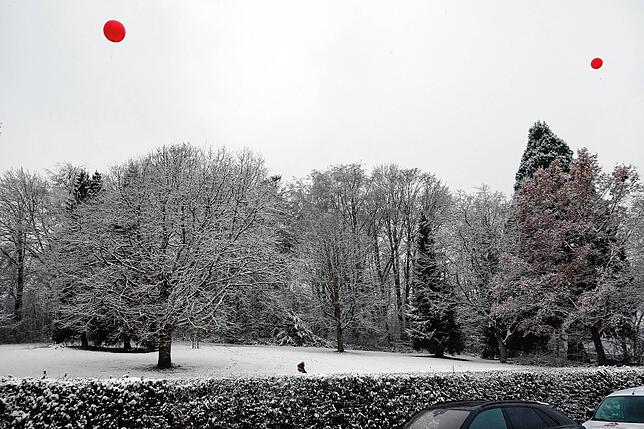 Erst ein grober städtbaulicher Entwurf existiert für die Bebauung eines Teils des Rauensteinparks entlang der Straße und auf der Ecke ...