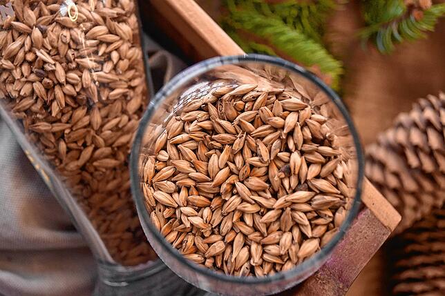 Zutaten: Neben Hopfen, Wasser und Hefe fordert das deutsche Reinheitsgebot auch die Verwendung von gemälztem Getreide. Es prägt den ...