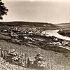 Der Fotobeweis: Um 1890 standen auf dem Haspel über Waldshut Weinreben.
