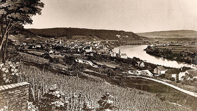 Der Fotobeweis: Um 1890 standen auf dem Haspel über Waldshut Weinreben.