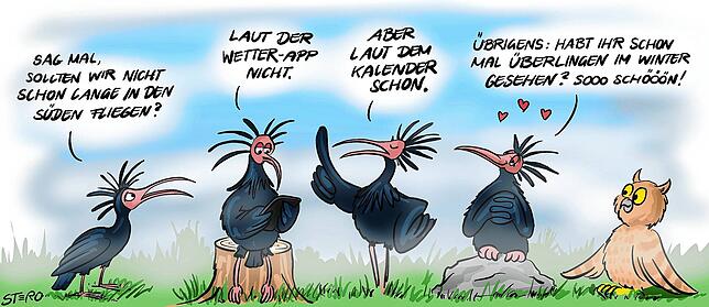 Bild 20: Karikatur der Woche: Überlingen hat sie jetzt, die Halle für jeden Sport und alle Bälle
