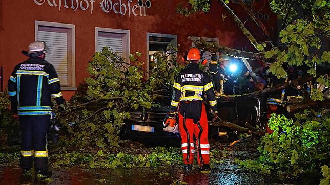 Feurwehrleute arbeiten in Ravensburg an einem auf ein Auto gestürzten Baum.