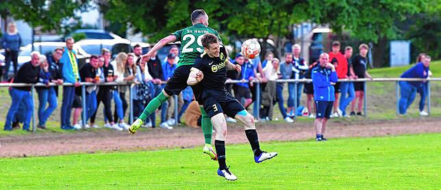 Bild 5: SV Herten besiegt den TuS Efringen-Kirchen mit 3:1 &ndash; und wir haben Bilder!
