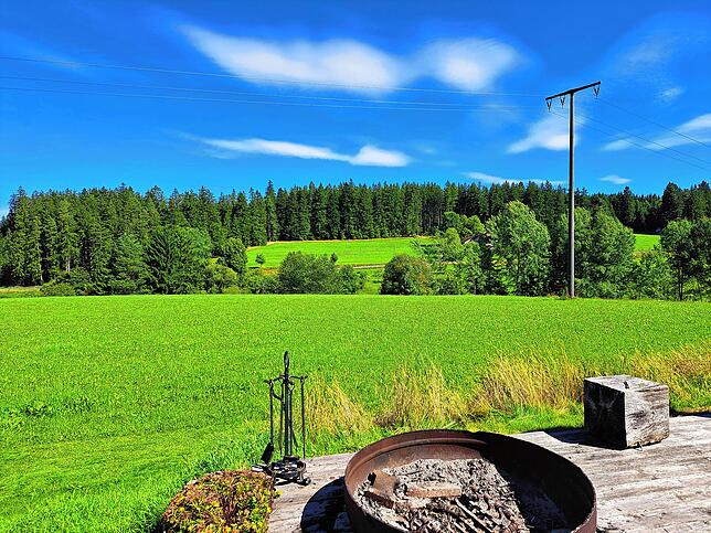 Blick über das Grundstück: Auch die Wiese gehört Gunnar Fichter.