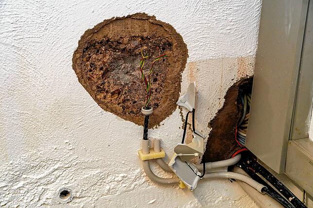 Die Anschlüsse an das Telekommunikationsnetz wurden regelrecht aus der Wand gesprengt.