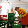 Christine Hauger-Pfäffle und Sabine Müller räumen Frischwaren ins Kühlregal. Das Bild entstand im Mai, an einem Tag, an dem die Kisten ...