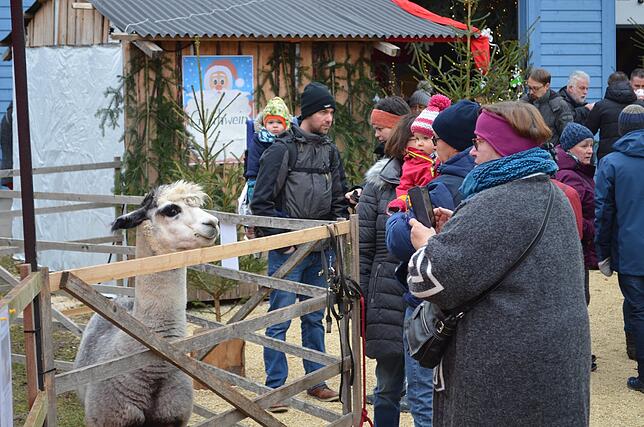 Bild 25: Bilder vom 24. Heudorfer Christkindlemarkt