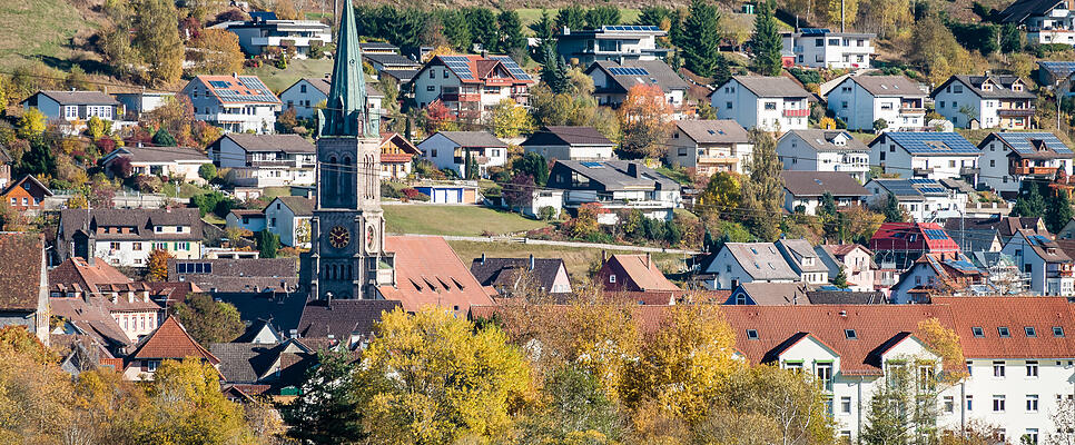 Vöhrenbach (125625903)