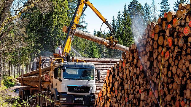 Das Nassholzlager im Wieselsbachtal ist proppevoll, hier wird das ganze Sturmholz gelagert, die Preise sind im Keller und aktuell ...