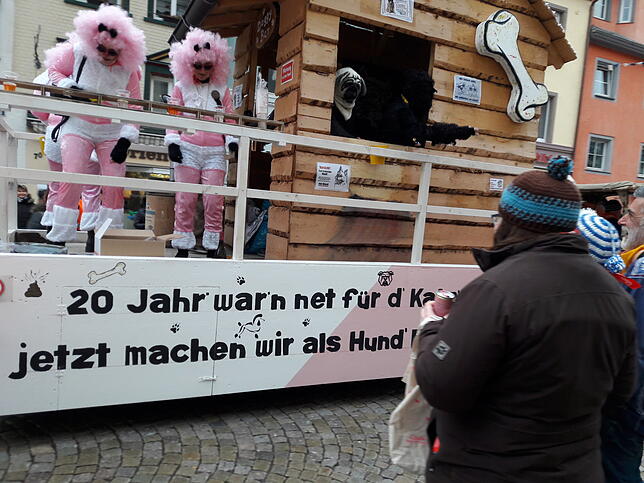Die Katzen machen jetzt als Hund Rabatz..