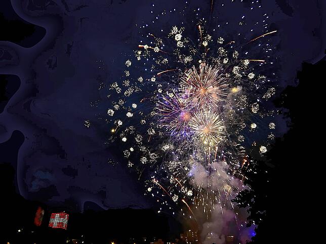 Bild 29: Nationalfeiertag in der Schweiz: Die schönsten Bilder aus Schaffhausen!
