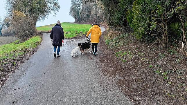 Im Rheinfelder Ortsteil Nordschwaben diskutiert der Ortschaftsrat über eine Leinenpflicht für Hunde. Foto: Petra Wunderle