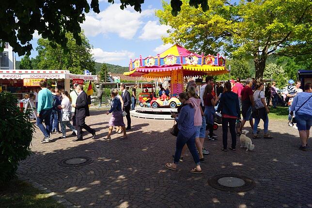 Bild 33: Bilder vom 38. Hafenfest in Ludwigshafen