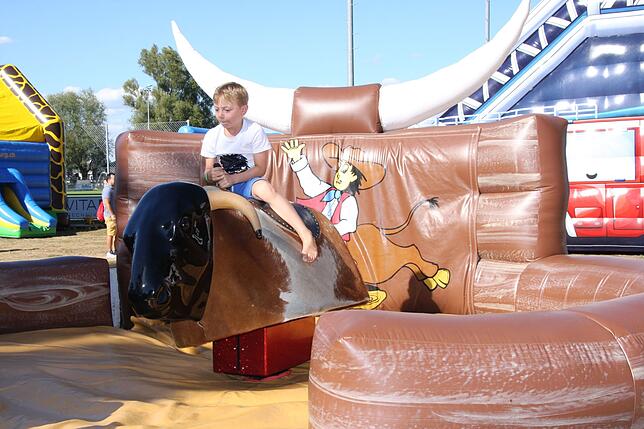 Bild 10: Die besten Bilder vom Seenachtfest 2018