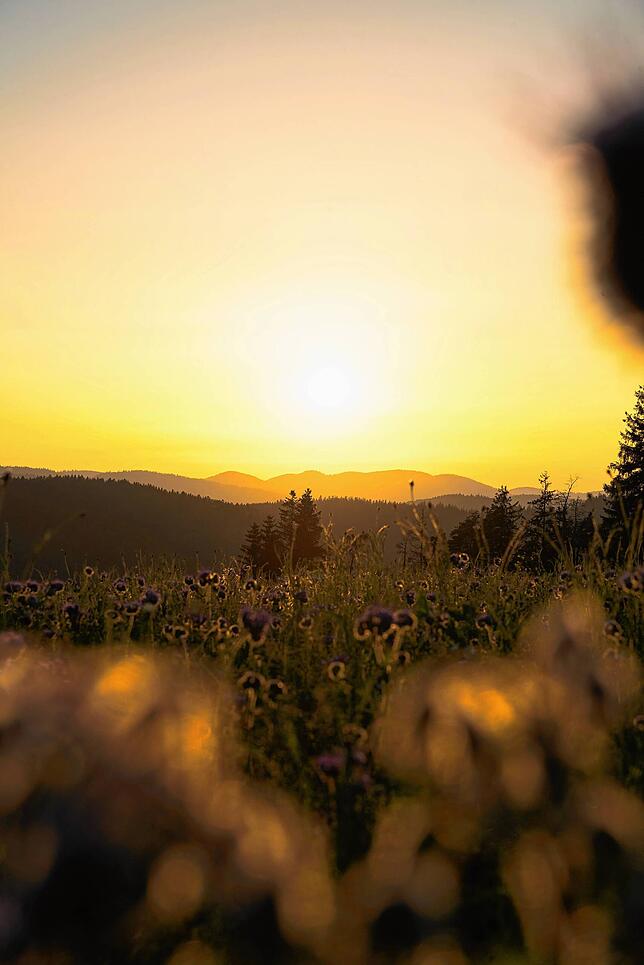 Sonnenuntergang nahe Höchenschwand.
