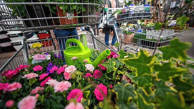 Frühjahrseinkauf für den heimischen Garten: Das geht seit dem 1. März wieder.
