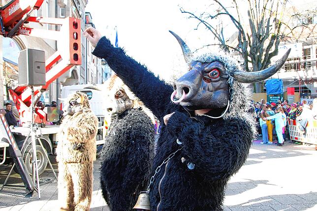Bild 3: So schön ist der Umzug am Fasnachtsmontag in Bad Säckingen