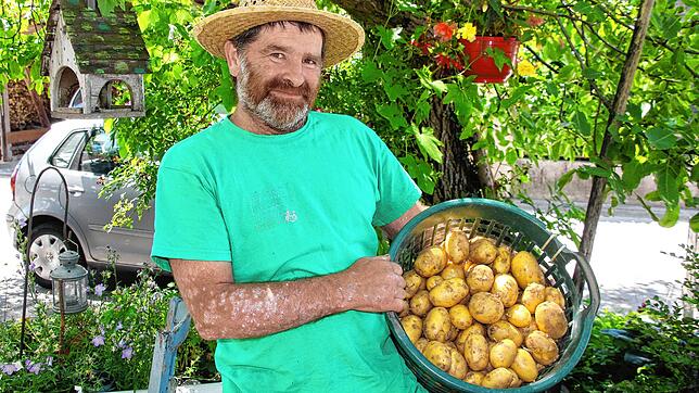 Dieter Schoch und seine Familie haben auf ihren Äckern in Duchtlingen die ersten Frühkartoffeln geerntet. Die frühe Hitze schon im Juni ...