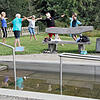 Bild :