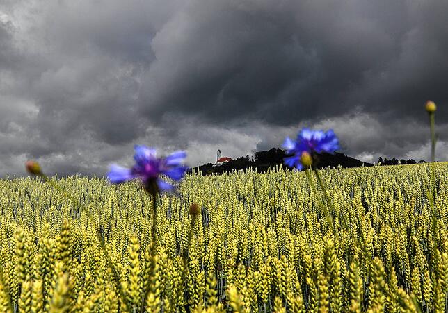 2020 ziehen durch den Lockdown düstere Wolken für den Haushalt der Gemeinde Wutach auf.