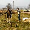Die Anfänge des Naturschutzes in Markdorf: Mitglieder des BUND Markdorf bei einer Pflanzaktion in den 1980er Jahren.