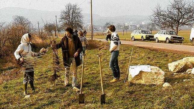Die Anfänge des Naturschutzes in Markdorf: Mitglieder des BUND Markdorf bei einer Pflanzaktion in den 1980er Jahren.