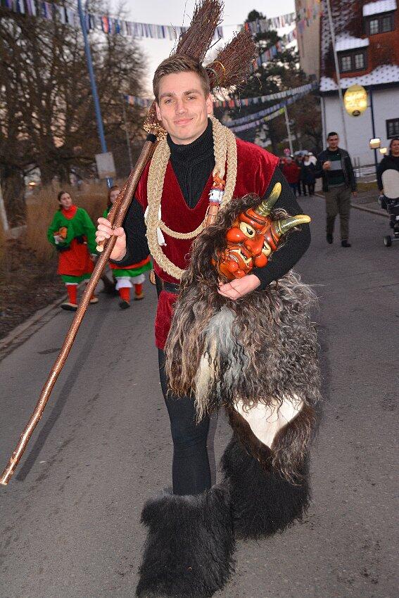 Bild 31: Narrentreffen der Urviecher-Zunft: Bilder vom Eröffnungsumzug (1)