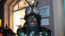 Bild : Konstanzer Straßenfasnacht 2025: Am Rosenmontag steigt die Stimmung nochmals
