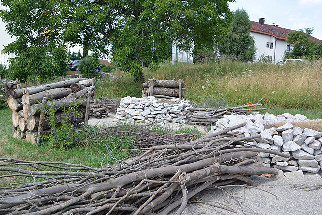Das Eidechsenhabitat in der Basler Straße ist eine Ausgleichsfläche.