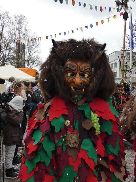 Bild 1: Teil 1: Bildergalerie zum Albbrucker Narrentreffen am 2. und 3. Februar 2019