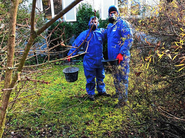 Gut geschützt durch blauer Overalls und P3-Masken suchen die Männer in den Gärten nach gesundheitsschädlichen Asbestteilchen. Bild: ...