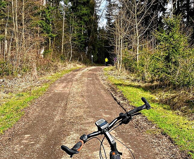 Achtung, sieht harmlos auf dem Bild aus. Aber dieser Weg zum Waldschlösschen Öfingen hinauf ist in einem katastrophalen Zustand und mit ...