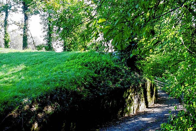 Der Wall auf der Rheinauer Seite des Oppidum Altenburg.
