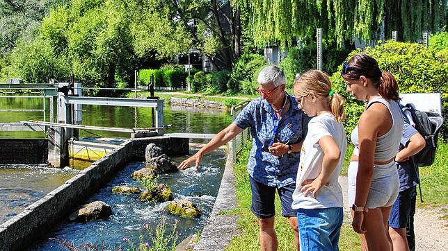 Die Energieagentur Konstanz lud im Ferienprogramm der Stadt Engen zur Besichtigung des Wasserkraftwerks auf der Singener Musikinsel. ...