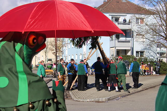 Bild 14: Radolfzeller Froschenzunft: So spektakulär wurde der Narrenbaum gestellt – alle Bilder!