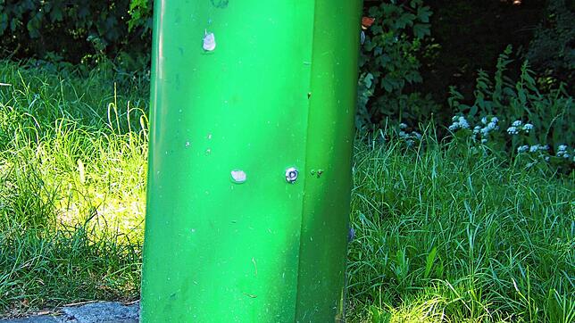 Zu den Sparvorschlägen gehört auch der Abbau von Mülltonnen der Parkplätze.