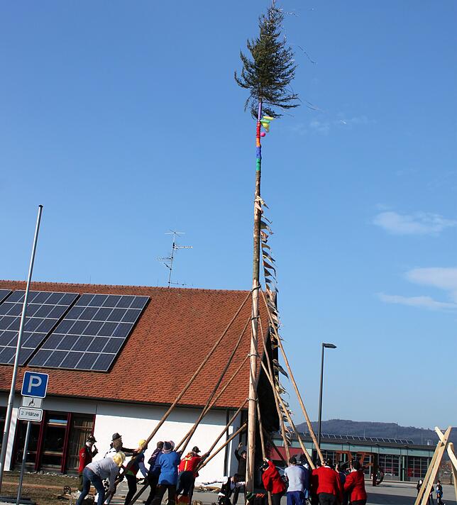 2019 wird der Narrenbaum unter Leitung der Zimmerei Wurst fachmännisch vor dem Bürgerhaus aufgestellt.