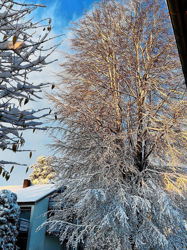 Bild 19: Hallo Winter! Die schönsten Bilder aus dem schneebedeckten Konstanz