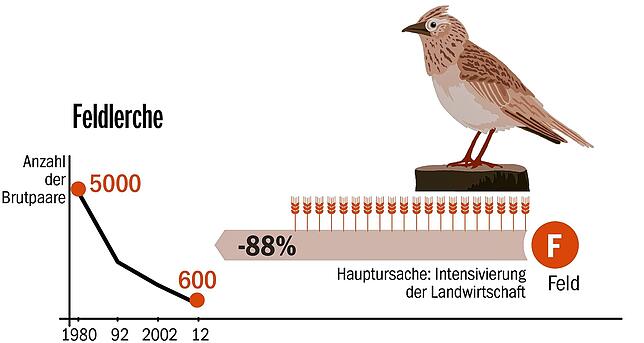 Vogelwelt_online_Feldlerche