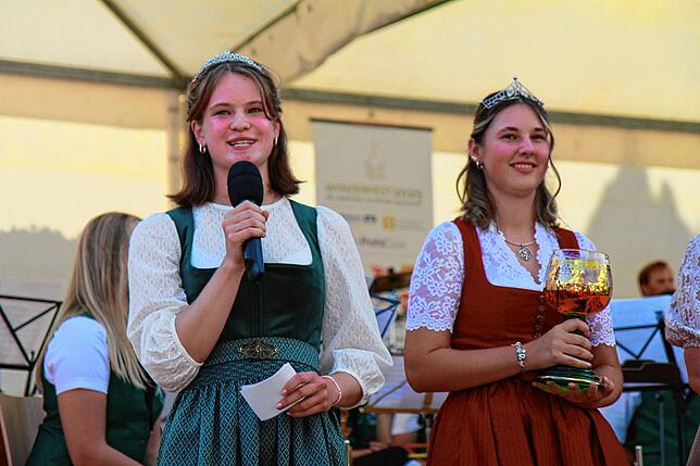 Bild 18: Bilder vom Winzerfest in Erzingen