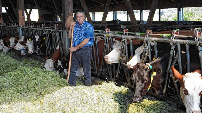 Der Landwirt und das liebe Vieh: Auf seinem Bio-Hof in Oberweschnegg versorgt Oswald Tröndle derzeit seine Milchkühe im Stall, denn auf ...