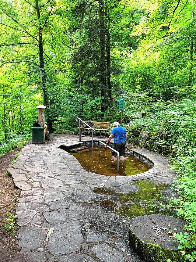 Idyllisch im Wald liegt die Wassertretstelle, an der der Weg vorbeiführt