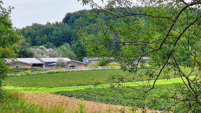 Die Anlage des Reitvereins Trab liegt idyllisch im Grün zwischen Wollmatingen und Litzelstetten, neben dem Gebäude des Technischen ...
