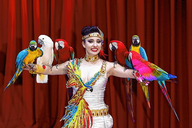 Laura Urunova mit ihren Papageien, mittlerweile außer Pudeln die einzigen Tiere des Zirkus.