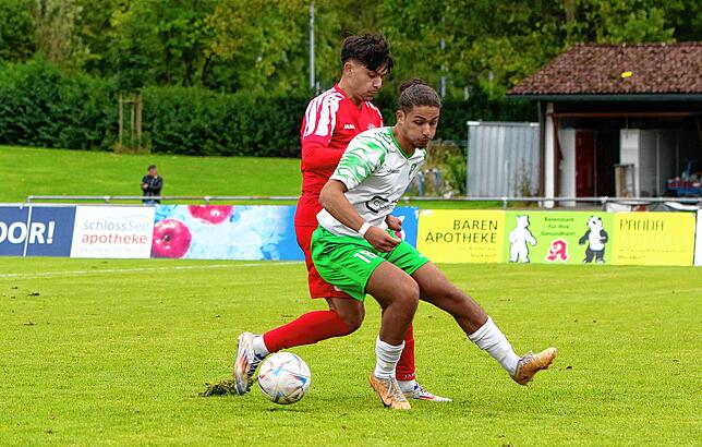 Bild 5: Aufsteiger FC RW Salem besiegt Absteiger DJK Donaueschingen 2:0. Die besten Bilder!