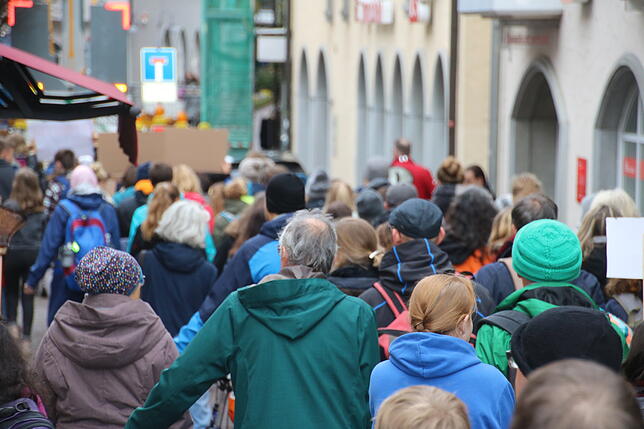 Bild 14: Fridays-for-Future geht in die nächste Runde: Bilder und Videos von der Demonstration in Radolfzell