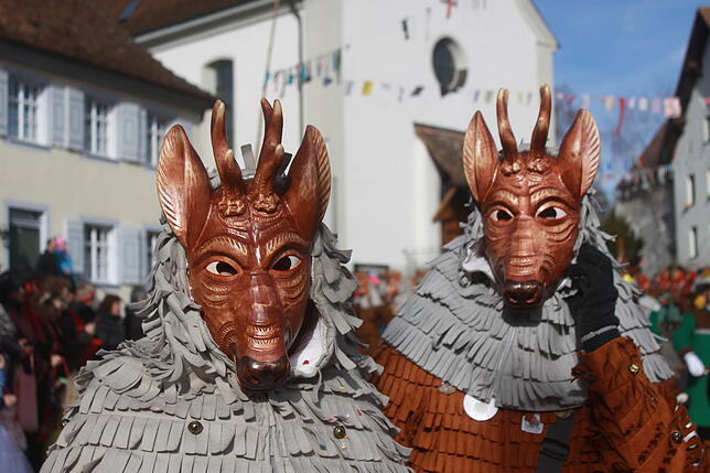 Bild 27: Bilder vom Narrentreffen zum 40. Jubiläum der Kuhsattler aus Hohenfels
