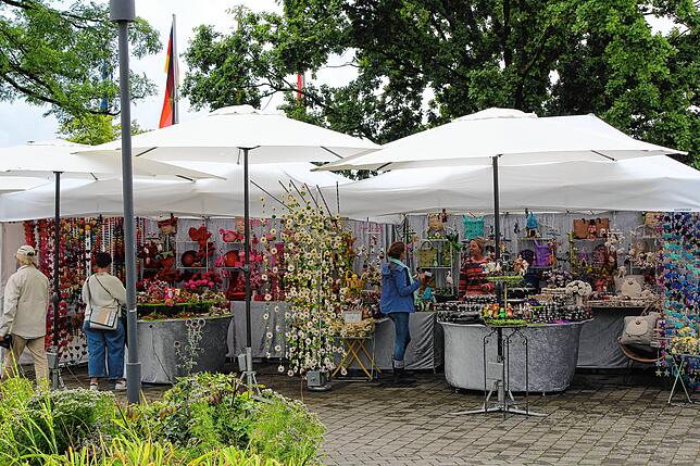 Bild 27: Nasser Start für die Sommeraugenweide