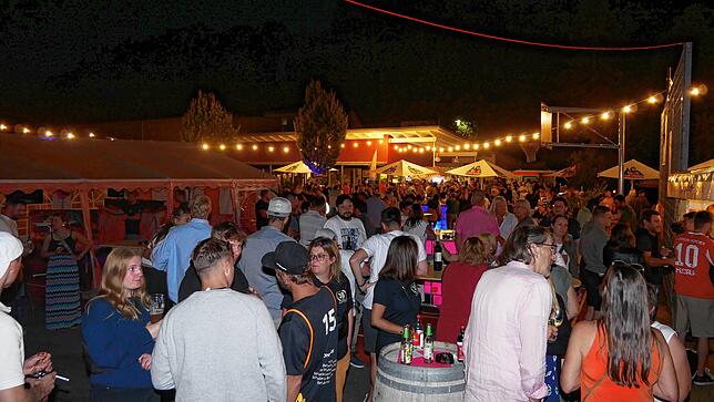 Bild 4: Bezirksmusikfest in Hohentengen – das Abendprogramm